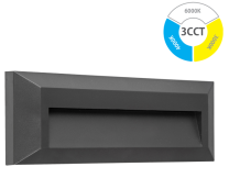 Svetilka LED zunanja ANTRACIT 2W IP65 P2302 3CCT DG
