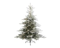 Smreka novoletna zasnežena 240 cm z 700 lučkami, Grandis Fir, Kaem.