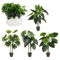Cvetje umetno Mica, monstera, v 100 x š 50 cm, Edel.