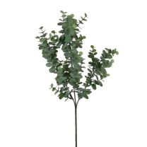 Cvetje umetno Mica, evkaliptus, zelen, 65 cm, Edel.