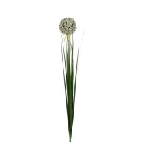 Cvetje umetno Mica allium bel 80 cm, Edel.