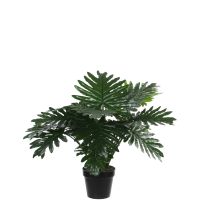 Filodendron umetna Mica, v 60 x š 80 cm, Edel.
