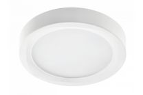Panel LED nadgradni LOUIS 12W 4000K okrogel IP54