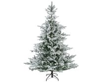 Smreka novoletna zasnežena 180 cm, Grandis Fir, Kaem.