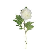 Cvetje umetno Mica potonika krem 76 cm, Edel.