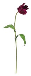 Cvetje umetno tulipan temno vijoličen 76 cm, Bizz.
