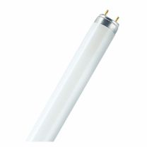 Žarnica LED cevna s starterjem T8 22W=150cm 2280lm, 6500K 25/1