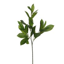Cvetje umetno Mica lovorjeva veja 58 cm, Edel.