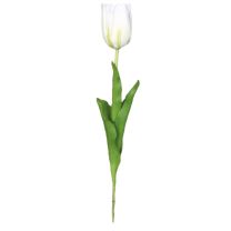 Cvetje umetno Mica tulipan bel  64 cm, Edel.