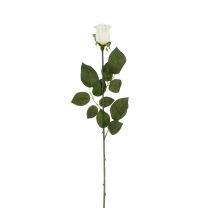 Cvetje umetno Mica vrtnica Venus bež 64 cm, Edel.