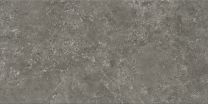 Ploščica stenska/talna Cersanit G313 graphite 29,8X59,8
PAK=1,6m2=9kos PAL=51,2m2