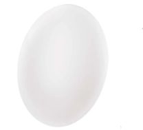 Svetilka LED stropna TIVI okrogla 8,6W 1440Lm NW 250 × 70 mm IP44 Emos