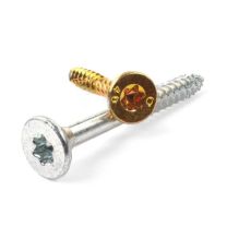 VIJAK IVERNI 3,0X 12 Zn Torx 