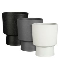 Lonec cvetlični Mica, Zambo bel/črn/siv v 42 x š 35 cm, Edel.