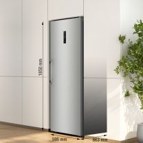 Zamrzovalna omara Gorenje FN619EAXL6, višina 185 cm, širina 59,5 cm, 280 L, inox