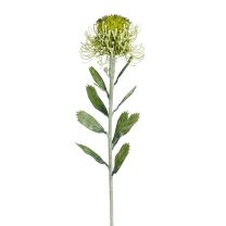 Cvetje umetno Mica, krizantena zelena 59 cm, Edel.