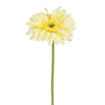 Cvetje umetno Mica, gerbera rumena 60 cm, Edel.