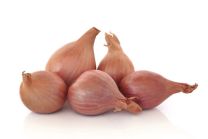 ČEBULČEK STURON 500 g