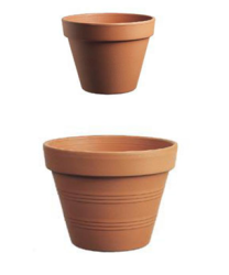 Lonec gl. Standard 01 fi 27cm Inter.