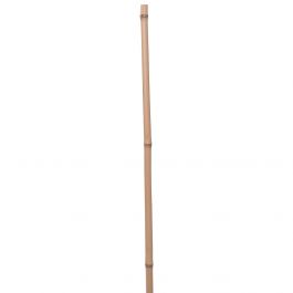 Opora bambus 150 cm fi 13 mm